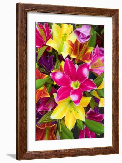 Vietnam, Hanoi. Flower Market-Walter Bibikow-Framed Photographic Print