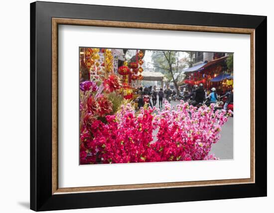 Vietnam, Hanoi. Tet Lunar New Year, Cherry Blossoms for Sale-Walter Bibikow-Framed Photographic Print