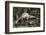 Vietnam, Ho Chi Minh City. Reunification Palace, Former South Vietnamese F-5E Fighter Plane-Walter Bibikow-Framed Photographic Print