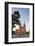 Vietnam, Ho Chi Minh City (Saigon), Notre Dame Cathedral-Michele Falzone-Framed Photographic Print