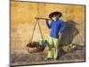 Vietnam, Hoi An, Fruit Vendor-Steve Vidler-Mounted Photographic Print