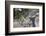 Vietnam, Hue. Tomb Complex of Emperor Minh Mang-Walter Bibikow-Framed Photographic Print