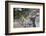 Vietnam, Hue. Tomb Complex of Emperor Minh Mang-Walter Bibikow-Framed Photographic Print