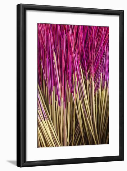 Vietnam, Mekong Delta. Chau Doc, Chau Phu Temple, Joss Sticks-Walter Bibikow-Framed Photographic Print