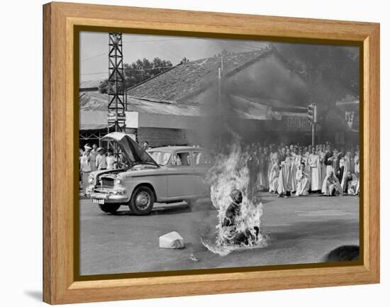 Vietnam Monk Protest-Malcolm Browne-Framed Premier Image Canvas