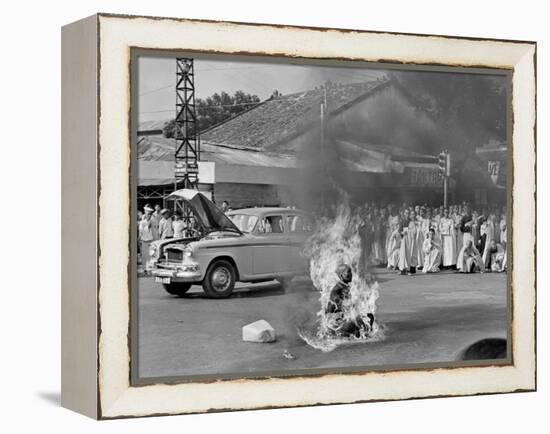 Vietnam Monk Protest-Malcolm Browne-Framed Premier Image Canvas