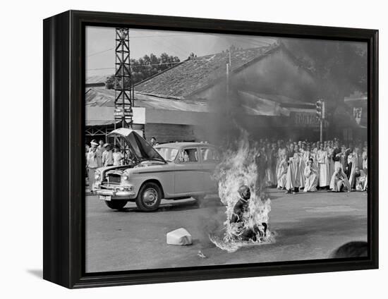 Vietnam Monk Protest-Malcolm Browne-Framed Premier Image Canvas