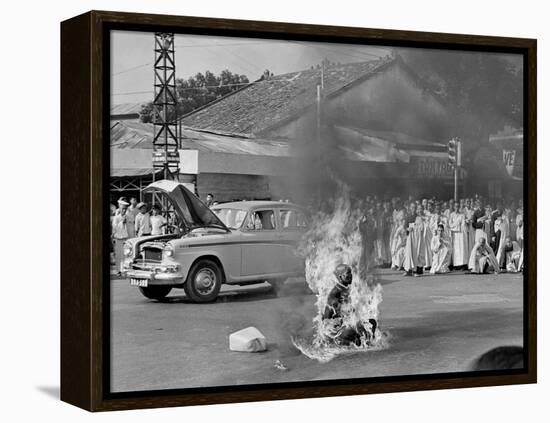 Vietnam Monk Protest-Malcolm Browne-Framed Premier Image Canvas