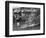 Vietnam Monk Protest-Malcolm Browne-Framed Photographic Print