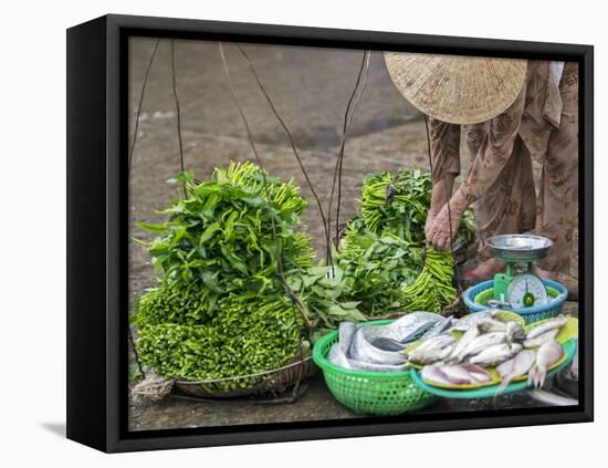 Vietnam, Quang Nam Province-Nigel Pavitt-Framed Premier Image Canvas