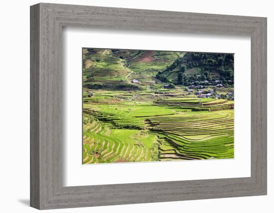 Vietnam . Rice paddies in the highlands of Sapa.-Tom Norring-Framed Photographic Print