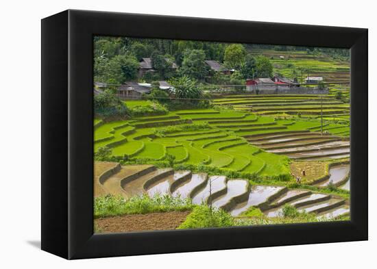 Vietnam . Rice paddies in the highlands of Sapa.-Tom Norring-Framed Premier Image Canvas