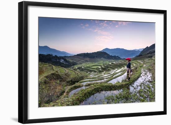 Vietnam, Sapa. Red Dao Woman on Rice Paddies at Sunrise (Mr)-Matteo Colombo-Framed Photographic Print