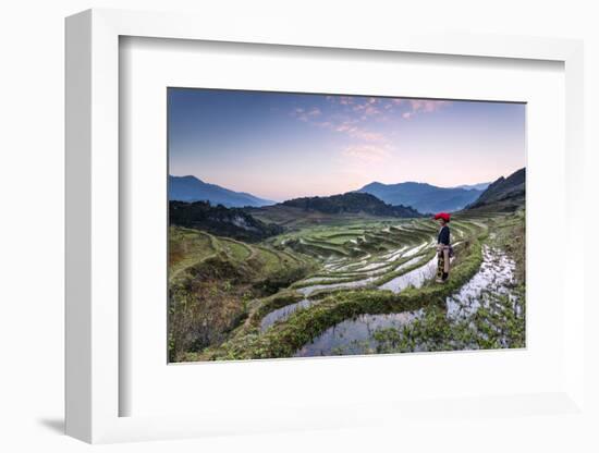 Vietnam, Sapa. Red Dao Woman on Rice Paddies at Sunrise (Mr)-Matteo Colombo-Framed Photographic Print