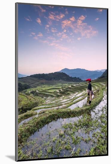 Vietnam, Sapa. Red Dao Woman on Rice Paddies at Sunrise (Mr)-Matteo Colombo-Mounted Photographic Print