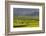 Vietnam, Thuan Chau, Rice Fields-Walter Bibikow-Framed Photographic Print