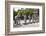 Vietnam, Thura Thien-Hue Province, Hue-Nigel Pavitt-Framed Photographic Print