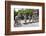 Vietnam, Thura Thien-Hue Province, Hue-Nigel Pavitt-Framed Photographic Print