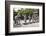 Vietnam, Thura Thien-Hue Province, Hue-Nigel Pavitt-Framed Photographic Print