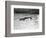 Vietnam War Submerged Gunner-Henri Huet-Framed Photographic Print