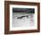 Vietnam War Submerged Gunner-Henri Huet-Framed Photographic Print