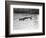 Vietnam War Submerged Gunner-Henri Huet-Framed Photographic Print