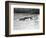 Vietnam War Submerged Gunner-Henri Huet-Framed Photographic Print