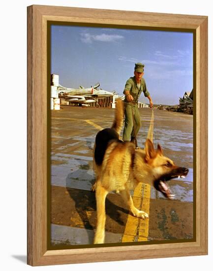 Vietnam War U.S.A.F. Guard Dog-Associated Press-Framed Premier Image Canvas