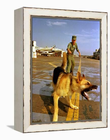 Vietnam War U.S.A.F. Guard Dog-Associated Press-Framed Premier Image Canvas