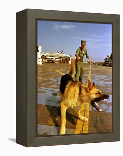 Vietnam War U.S.A.F. Guard Dog-Associated Press-Framed Premier Image Canvas