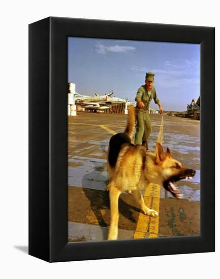 Vietnam War U.S.A.F. Guard Dog-Associated Press-Framed Premier Image Canvas