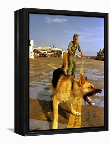 Vietnam War U.S.A.F. Guard Dog-Associated Press-Framed Premier Image Canvas