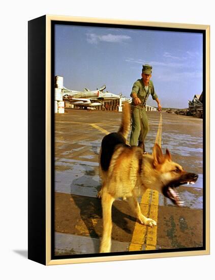 Vietnam War U.S.A.F. Guard Dog-Associated Press-Framed Premier Image Canvas