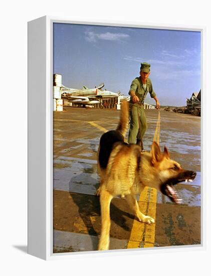 Vietnam War U.S.A.F. Guard Dog-Associated Press-Framed Premier Image Canvas