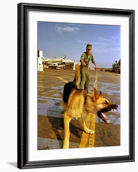 Vietnam War U.S.A.F. Guard Dog-Associated Press-Framed Photographic Print