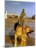 Vietnam War U.S.A.F. Guard Dog-Associated Press-Mounted Photographic Print