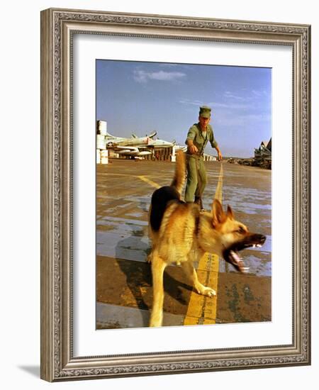 Vietnam War U.S.A.F. Guard Dog-Associated Press-Framed Photographic Print