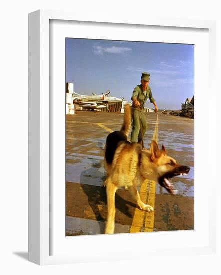 Vietnam War U.S.A.F. Guard Dog-Associated Press-Framed Photographic Print