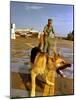 Vietnam War U.S.A.F. Guard Dog-Associated Press-Mounted Photographic Print