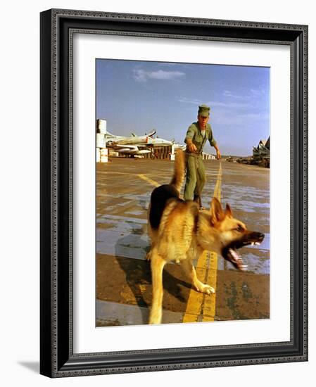 Vietnam War U.S.A.F. Guard Dog-Associated Press-Framed Photographic Print