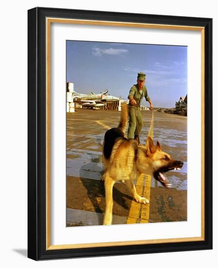 Vietnam War U.S.A.F. Guard Dog-Associated Press-Framed Photographic Print