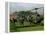 Vietnam War U.S. Paratroopers-Associated Press-Framed Premier Image Canvas