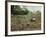 Vietnam War U.S. Paratroopers-Associated Press-Framed Photographic Print