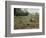 Vietnam War U.S. Paratroopers-Associated Press-Framed Photographic Print