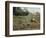 Vietnam War U.S. Paratroopers-Associated Press-Framed Photographic Print