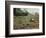 Vietnam War U.S. Paratroopers-Associated Press-Framed Photographic Print