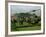 Vietnam War U.S. Paratroopers-Associated Press-Framed Photographic Print