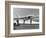 Vietnam War US Carrrier Aviation-Associated Press-Framed Photographic Print