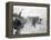 Vietnam War US Da Nang Landing-Associated Press-Framed Premier Image Canvas