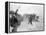 Vietnam War US Da Nang Landing-Associated Press-Framed Premier Image Canvas